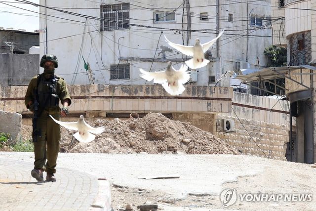 요르단강 서안 툴카렘의 이스라엘 군인