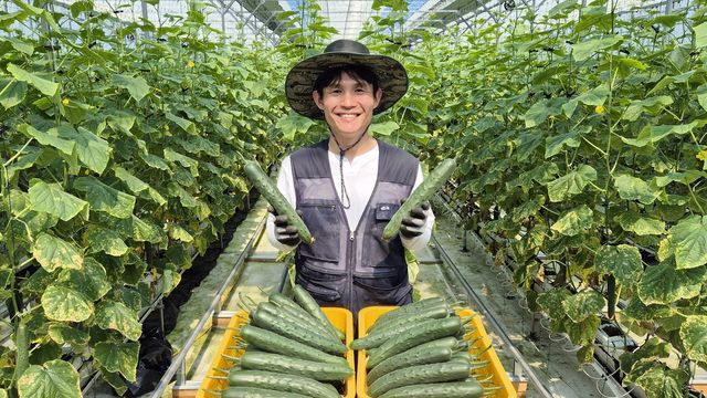 오이 스마트팜 운영하는 청년 농부 주용석씨