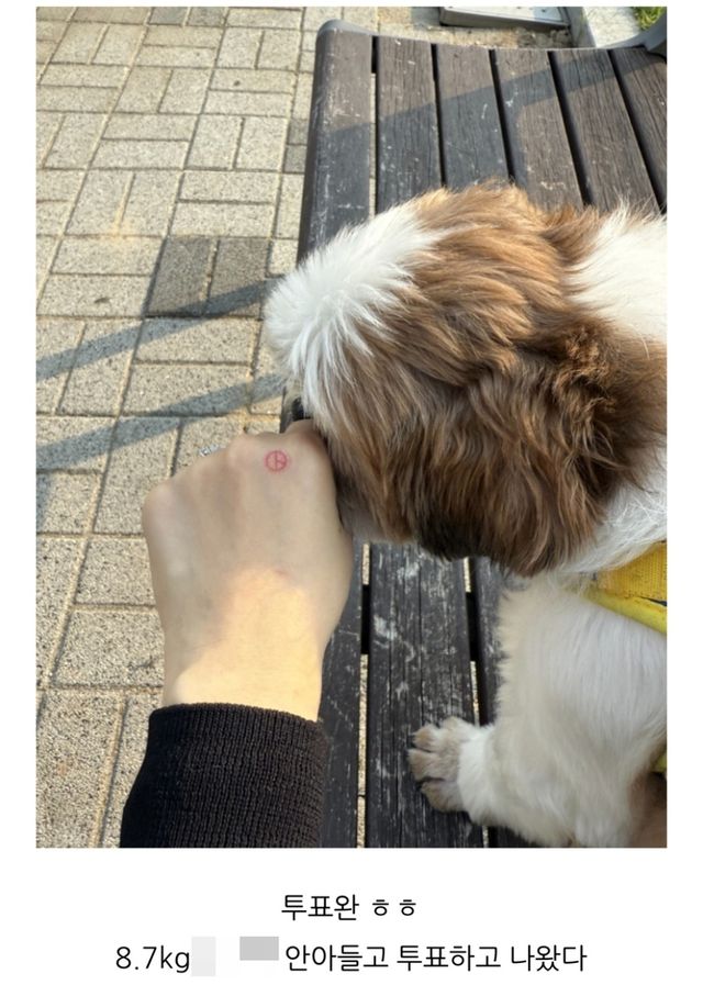 [네이버 블로그 캡처. 재판매 및 DB 금지]