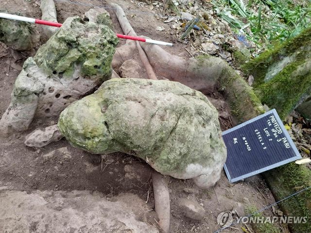 사람 얼굴을 모티브로 한 것으로 보이는 마야 조각품