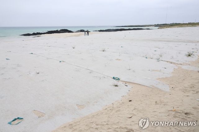 김녕해수욕장 모래 날림 방지