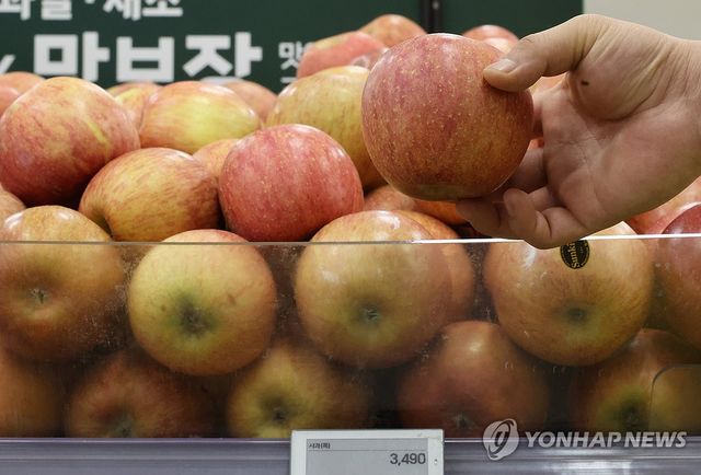 혼란기 라면·과자 등 식품값 줄인상에 서민 물가부담 - 10