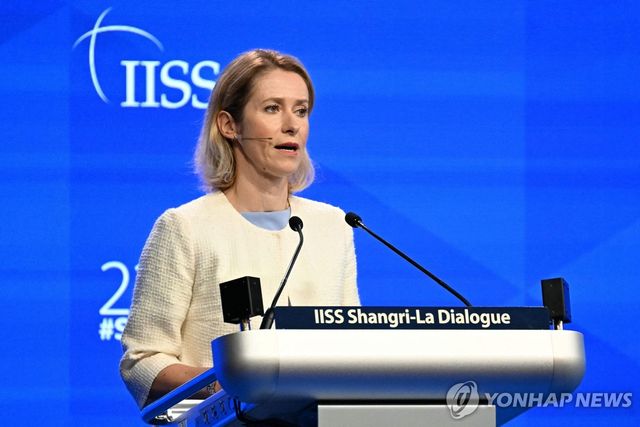 카야 칼라서 EU 외교안보 고위대표