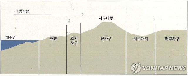 해안사구 구조