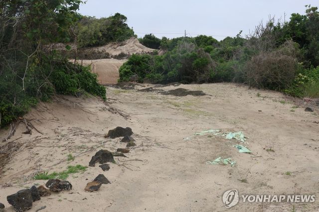 김녕리 농경지 사이 사구