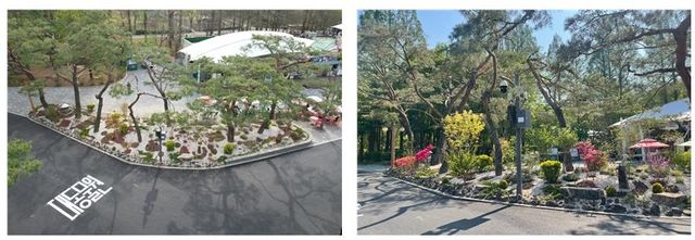 서울대공원 소나무휴 정원