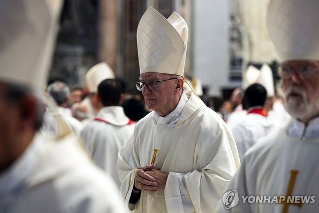 외관상 큰 문제 없어 보이는 파롤린 추기경 