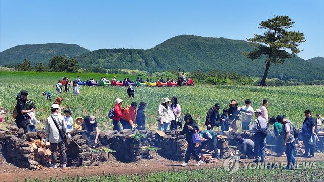 보롬왓 '파릇파릇 대파축제'