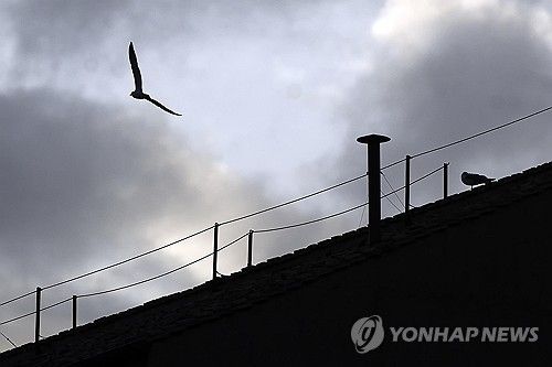 콘클라베 결과를 알릴 시스티나 성당의 굴뚝