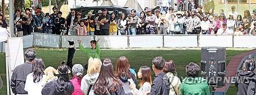 봄날 반려견과 추억