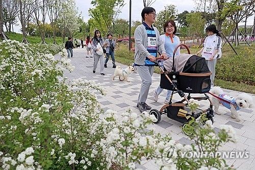 임실N펫스타에서 즐기는 산책