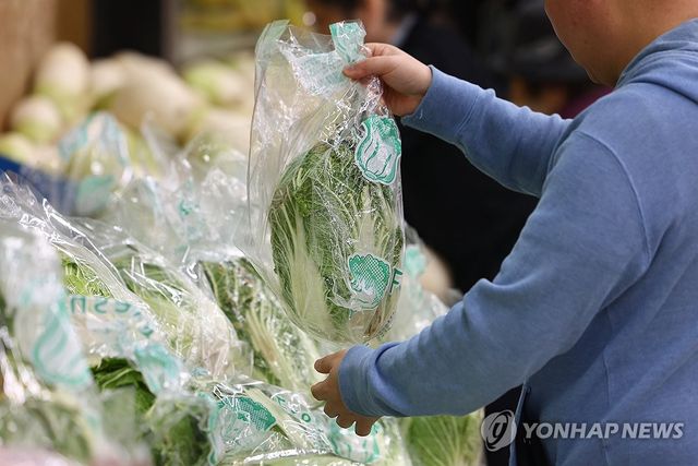 안정세 찾은 농산물 가격