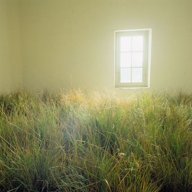 베르나르 포콩, 12번째 사랑의 방, 1985[공근혜갤러리 제공. 재판매 및 DB 금지]