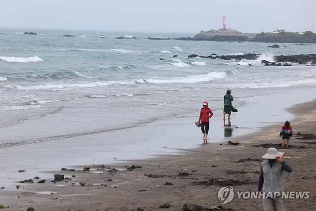 비 내리는 제주