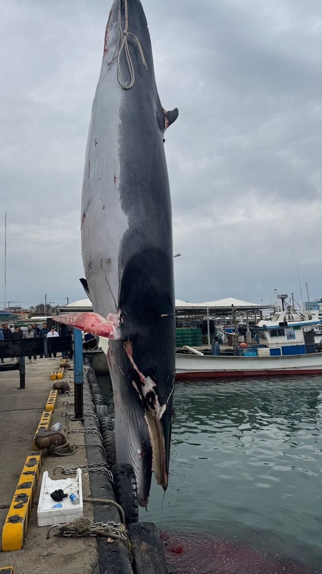[포항해양경찰서 제공. 재판매 및 DB 금지]