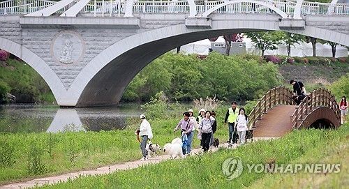 임실N펫스타에서 즐기는 산책