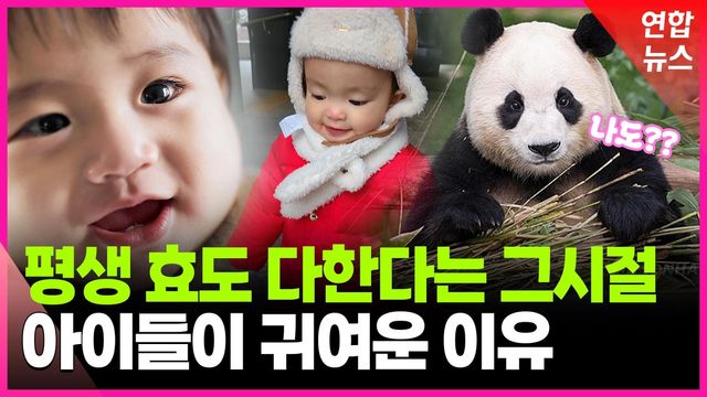 [영상] "쉰살 넘은 아들의 어린 시절이 아직도 눈에 선해요" - 2