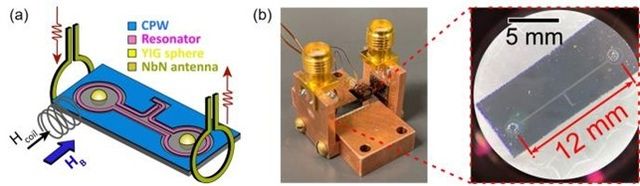 연구팀이 개발한 광자-마그논 하이브리드 칩 