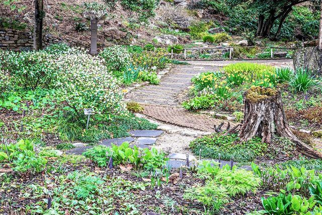 그늘정원과 양치식물원 [사진/백승렬 기자]