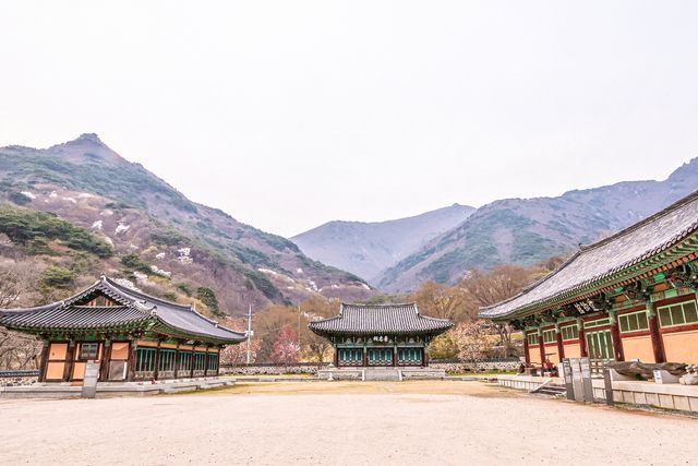 표충서원과 표충사당, 표충사 유물관(왼쪽부터)[사진/백승렬 기자]