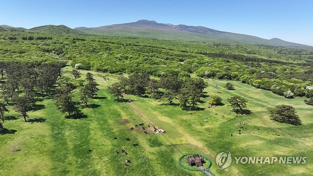 푸른 초원의 제주흑우와 제주마