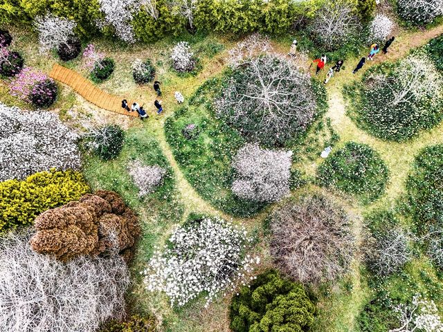 목련정원 풍경 [사진/백승렬 기자]