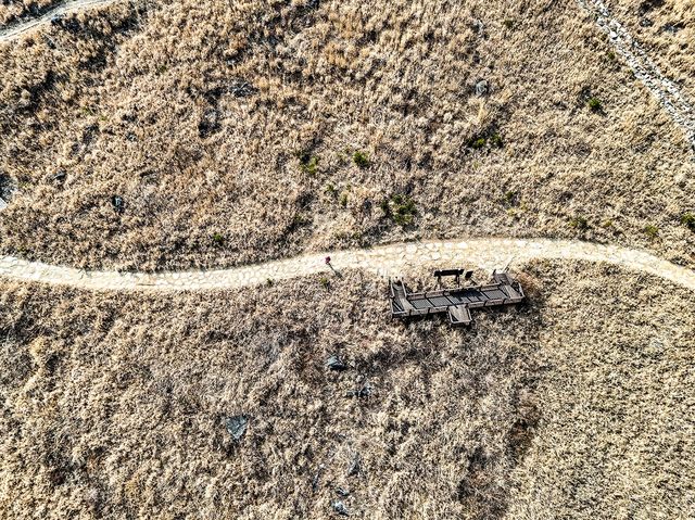 사자평 억새밭[사진/백승렬 기자]