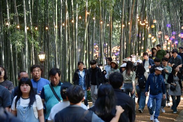 담양 대나무축제