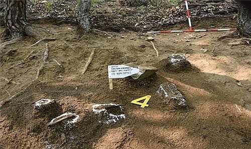 6·25 참전 김수덕 일병, 73년만에 집으로