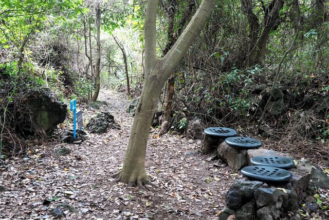 제주올레 2코스 '모작벤치'