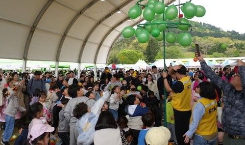 보성 통합 대축제