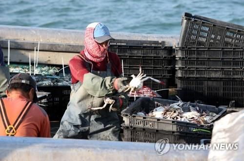 꽃게 작업하는 어민