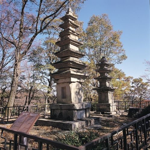 공주 청량사지 칠층·오층석탑 전경