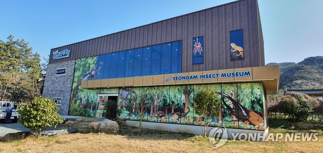 영암 곤충박물관