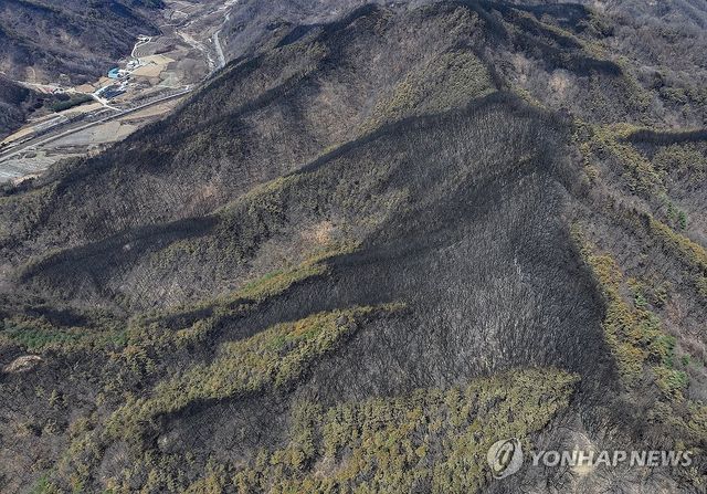 산림 할퀸 산불