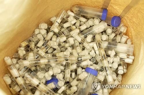 케냐서 밀반출하려다 적발된 개미 담은 시험관