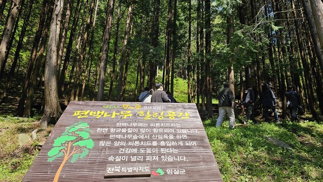 성수산 왕의 숲