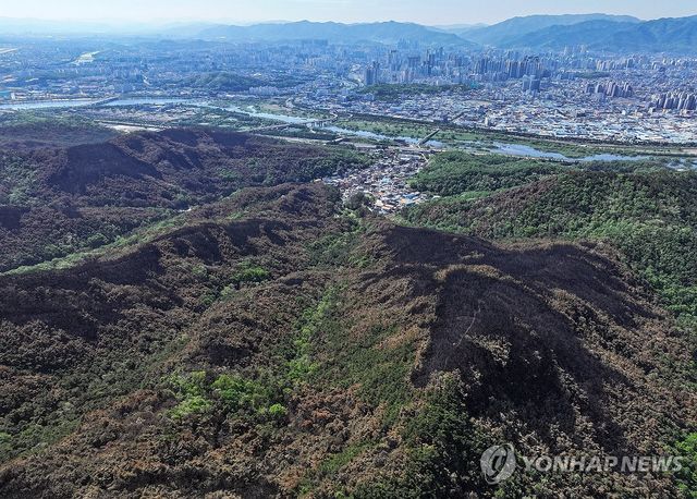도심 위협했던 산불 흔적