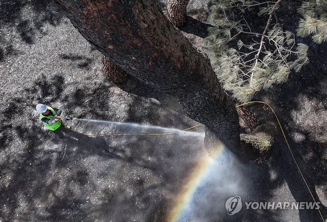 산불에 잿더미 된 자연유산…세척 작업 한창