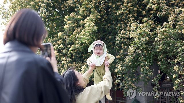미소가 나오는 노란 봄 추억
