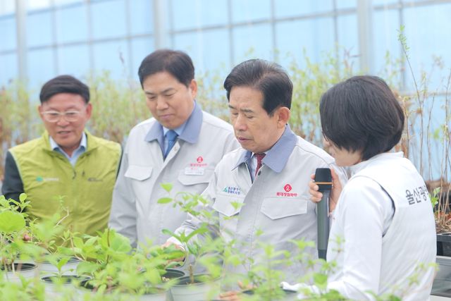 울산 첫 스마트 묘목장