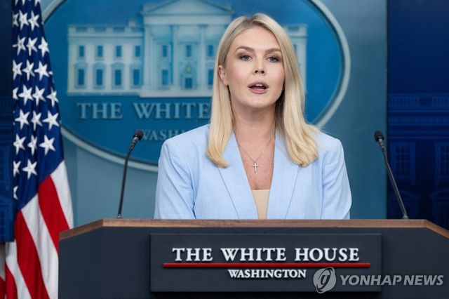 레빗 미국 백악관 대변인