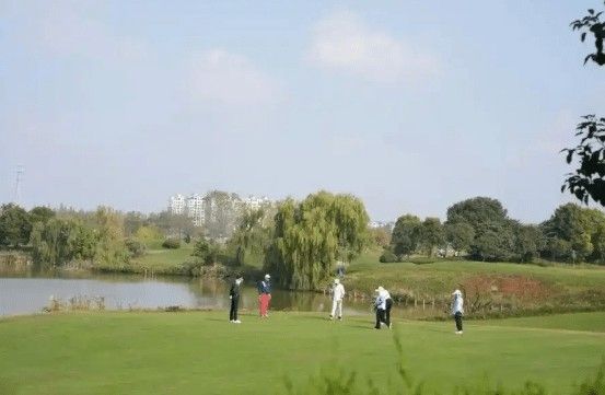 옌청에서 골프 즐기는 한국인들