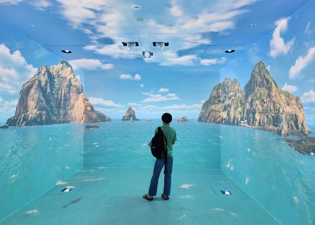 일본 국립 영토주권전시관 내 몰입형 시어터에서 독도를 감상하는 관람객