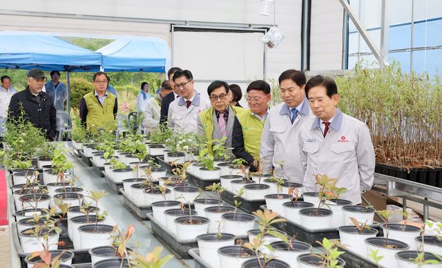 울산 첫 스마트 묘목장