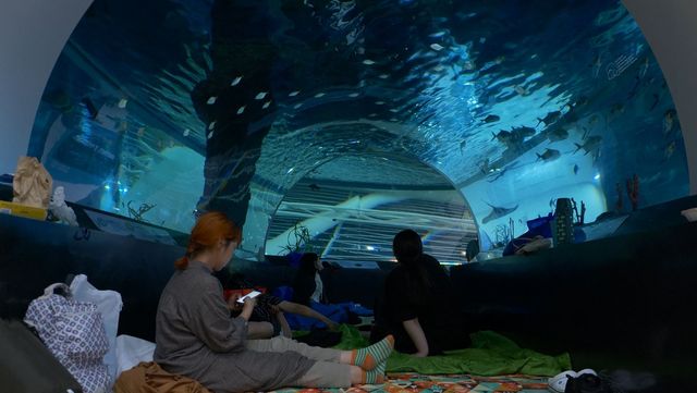 2025 뮤지엄나잇 오션필름 위크