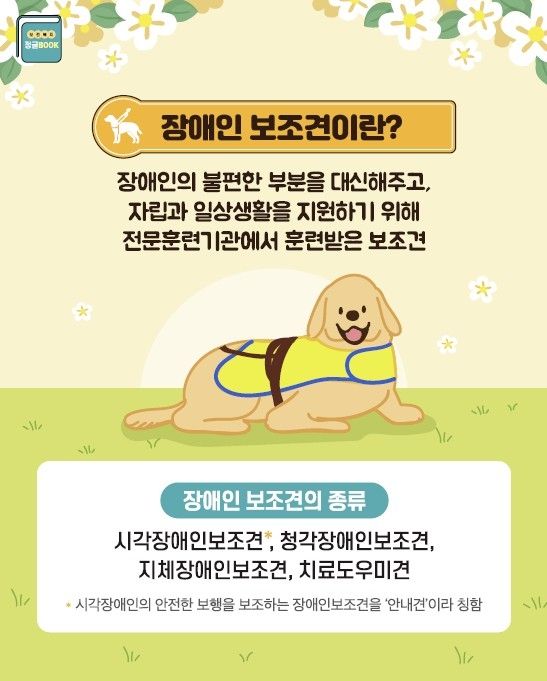 장애인 보조견 홍보문