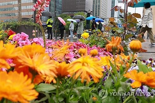 봄비 내리는 거리