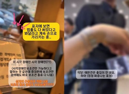 보조견 출입 거부하는 식당