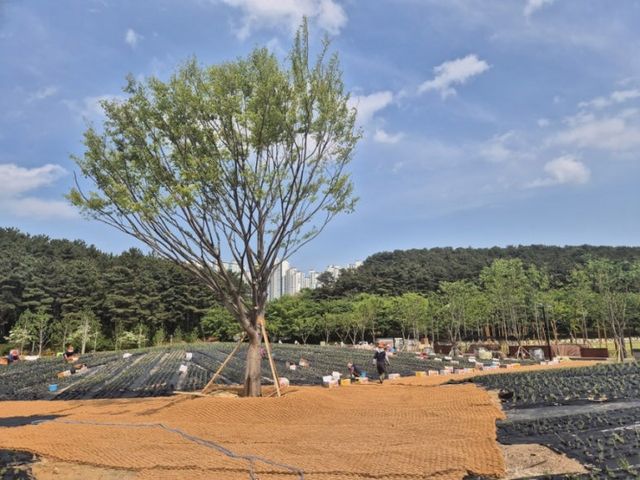 경남 양산시 명동공원